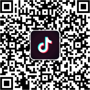 抖音小程序