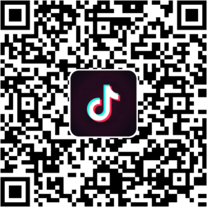 抖音小程序
