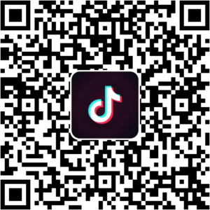 抖音小程序