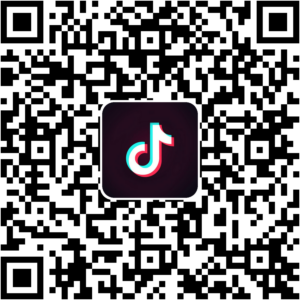 抖音小程序