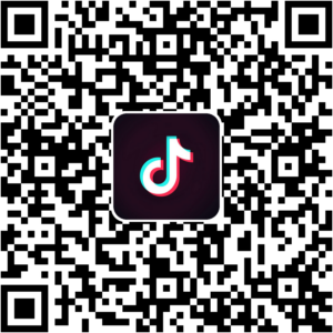 抖音小程序