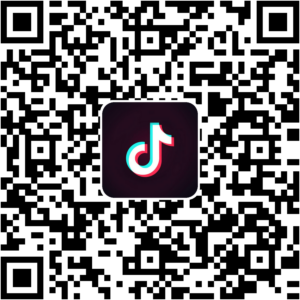 抖音小程序