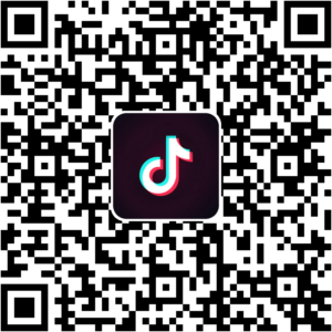 抖音小程序