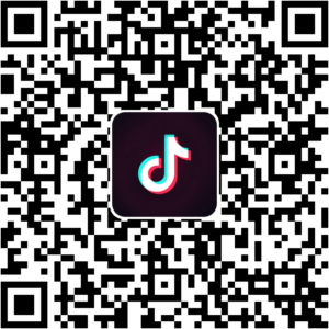 抖音小程序