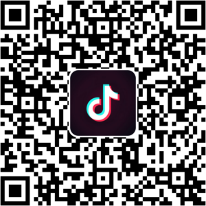 抖音小程序