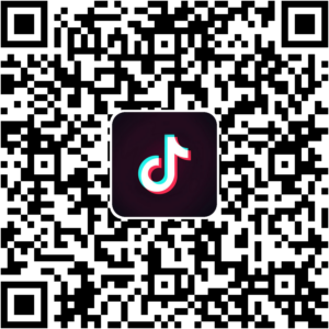 抖音小程序