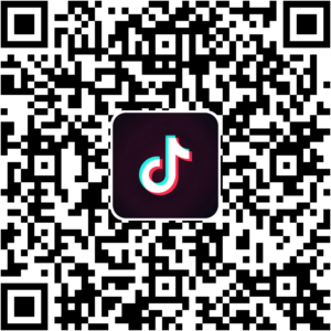 抖音小程序
