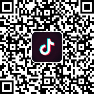 抖音小程序